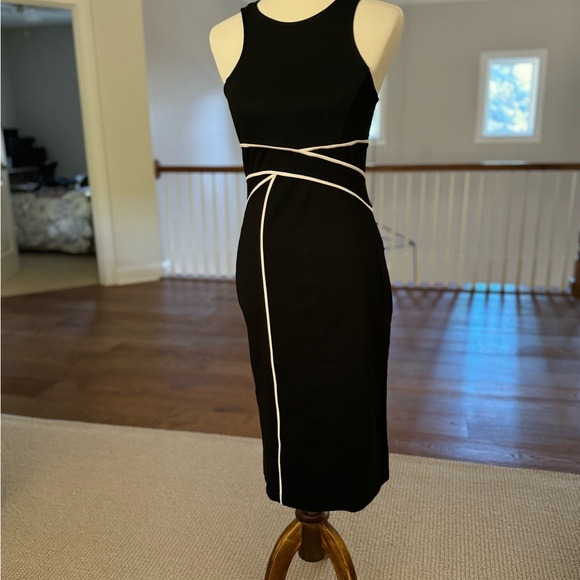 NWOT Anthropologie Maeve Daisy sheath dress - Picture 5 of 5